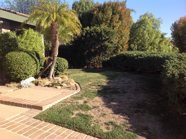Drought Tolerant Landscape Design Contractor in Orange County