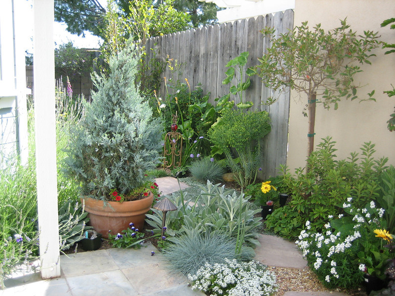 Orange County Cottage Garden Landscape Design