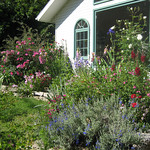 Cottage Garden Landscape Design Contractor