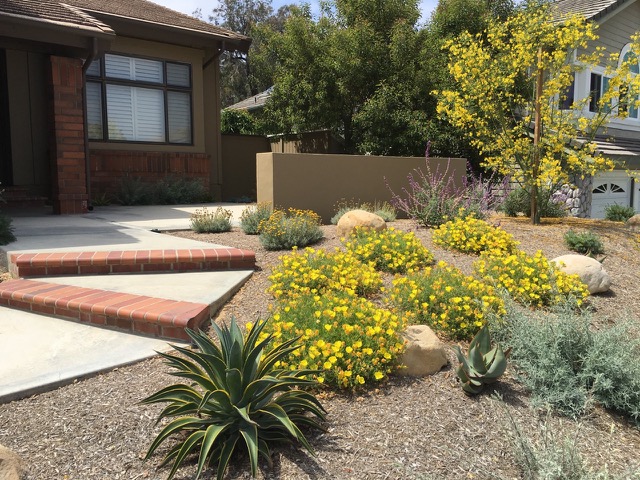 Landscape Designer & Contractor in Orange County | Drought Tolerant Low ...