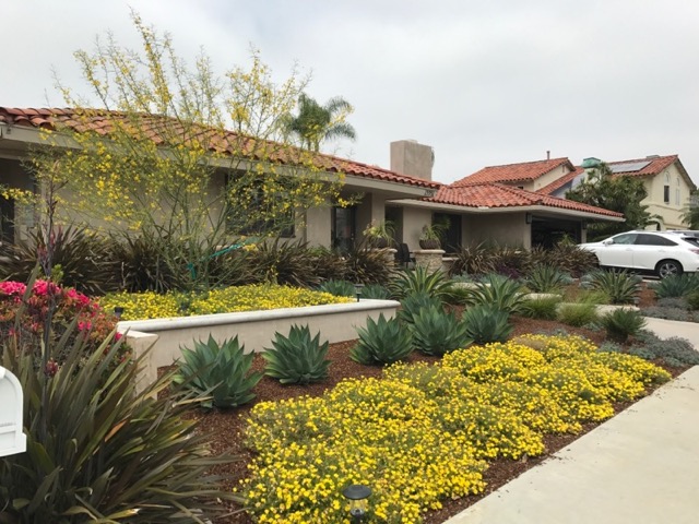 Landscape Design Contractor in Orange County